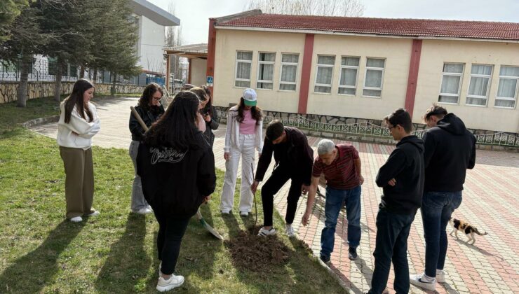 Hisarcık MYO öğrencilerinden ağaçlandırma çalışması