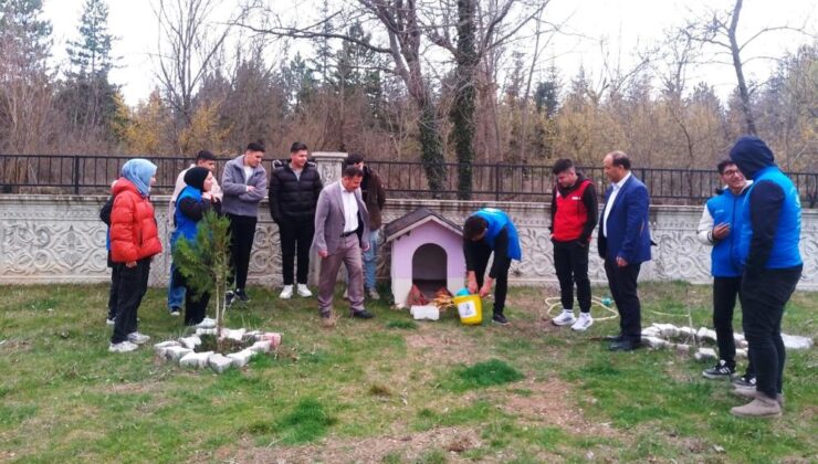 Sokak hayvanları için mama bıraktılar