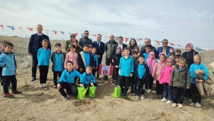 Minik eller fidanları toprakla buluşturdu