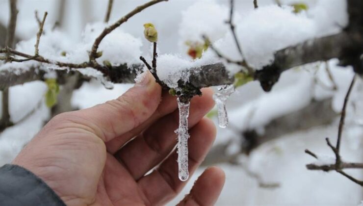 Meteorolojiden zirai don uyarısı