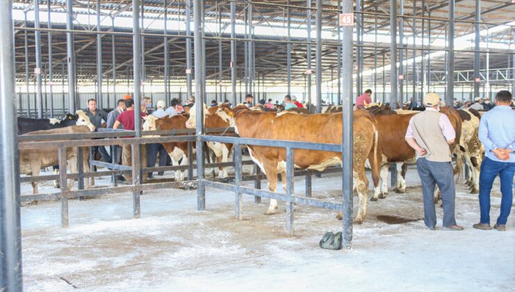 Kurban pazarı padok kira fiyatlarına tepki