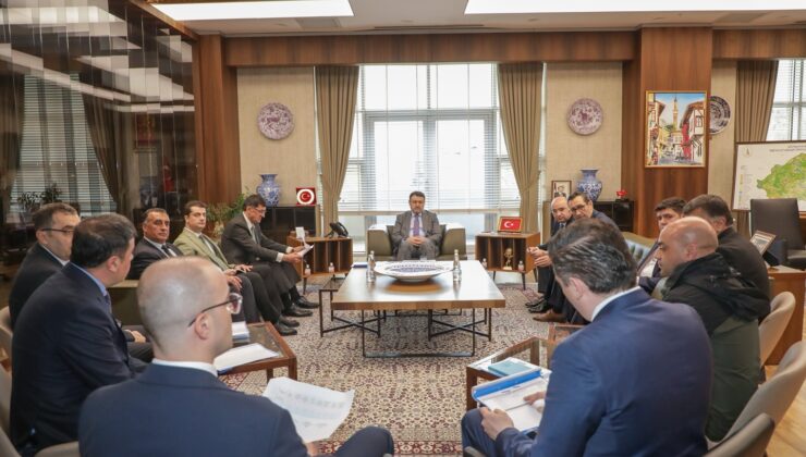 Sokak hayvanlarının refahı için çalışmalar devam ediyor