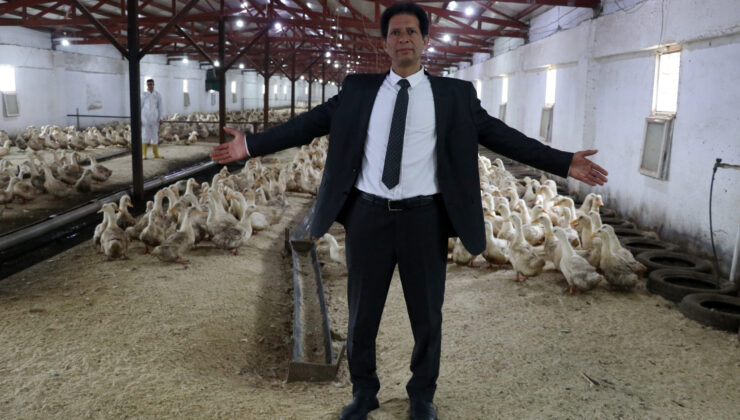 Mısırlı girişimci Kütahya’da Pekin ördeği yetiştiriyor