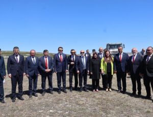 Sokak hayvanları için Doğal Yaşam Alanı projesi