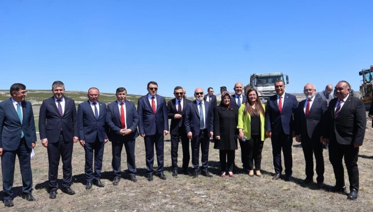 Sokak hayvanları için Doğal Yaşam Alanı projesi