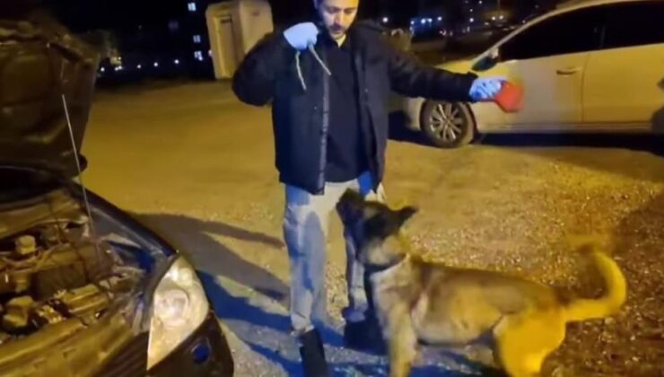 Zehir tacirlerine darbe