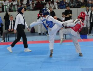 Minikler Taekwondo Yarışmaları heyecanı