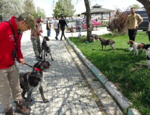 Avcılar ‘Fermalı Av Köpekleri Yarışması’nda buluştu