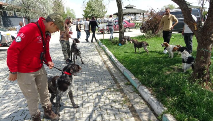 Avcılar ‘Fermalı Av Köpekleri Yarışması’nda buluştu