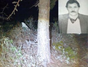 Çıktığı çam ağacından düşen adam hayatını kaybetti
