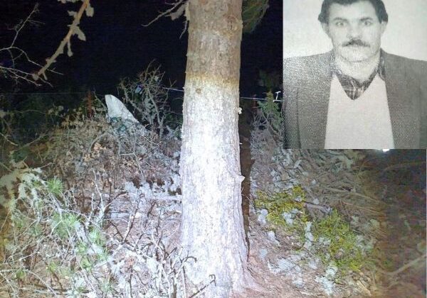 Çıktığı çam ağacından düşen adam hayatını kaybetti