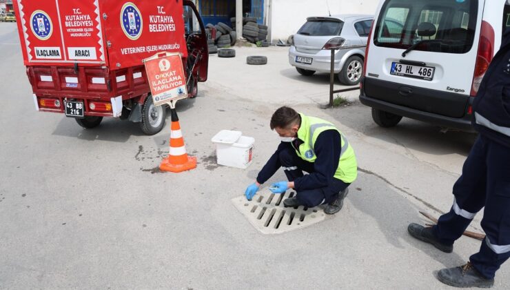 Farelere karşı ilaçlama çalışması yapıldı