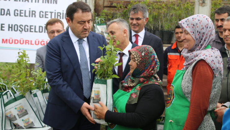 Sekiören’de kadın kooperatifine 1500 fidan desteği