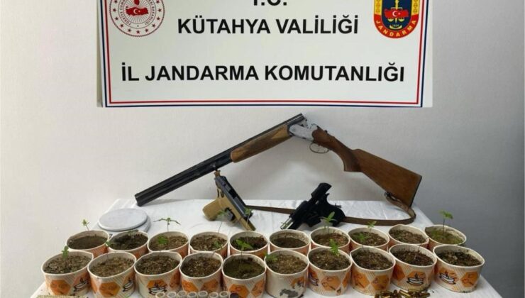Jandarmadan kenevir operasyonu