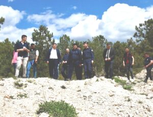 Sokak hayvanlarına daha geniş bir barınak sunulacak