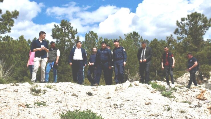 Sokak hayvanlarına daha geniş bir barınak sunulacak