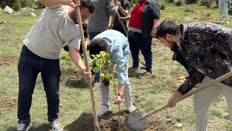 Karabağ şehitleri anısına fidanlar toprakla buluştu
