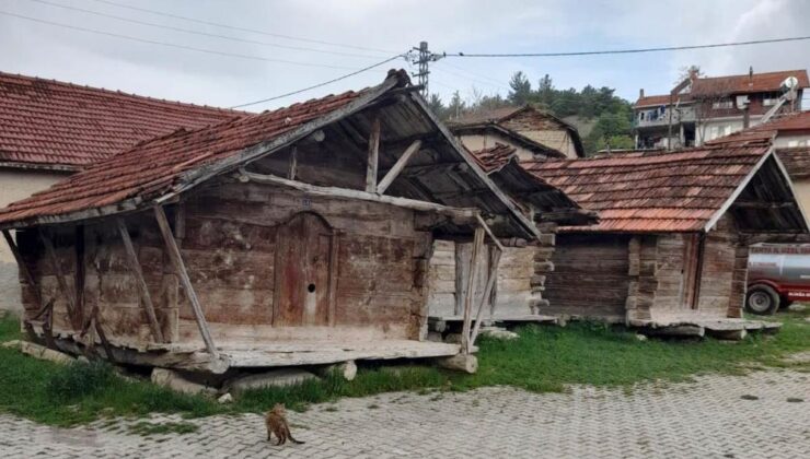 Geleneksel mimarinin eserleri dikkat çekiyor
