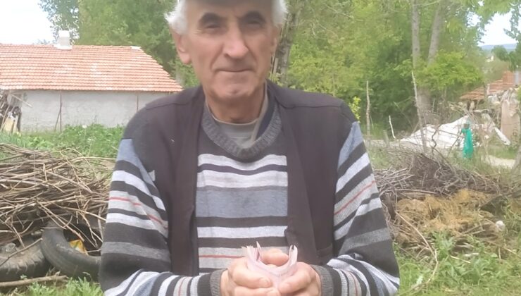 Emekli işçiden örnek davranış
