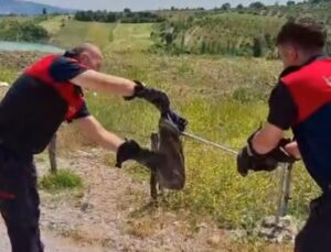 Gediz İtfaiye Müdürlüğü’nden yılan ve kene uyarısı