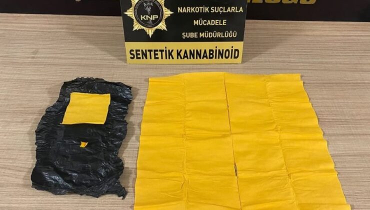 6 bin 143 içimlik bonzai ele geçirildi
