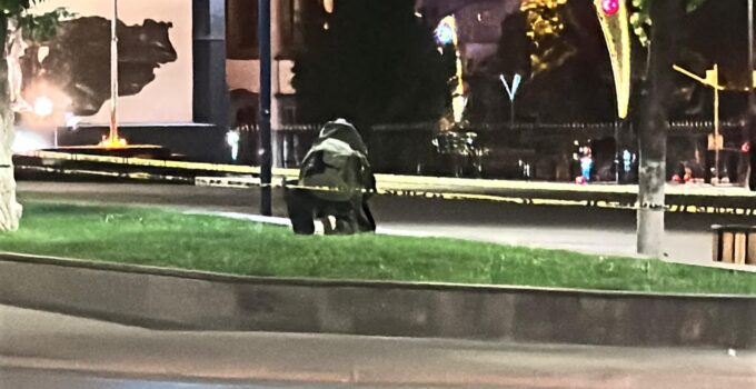 Şüpheli çanta polisi alarma geçirdi