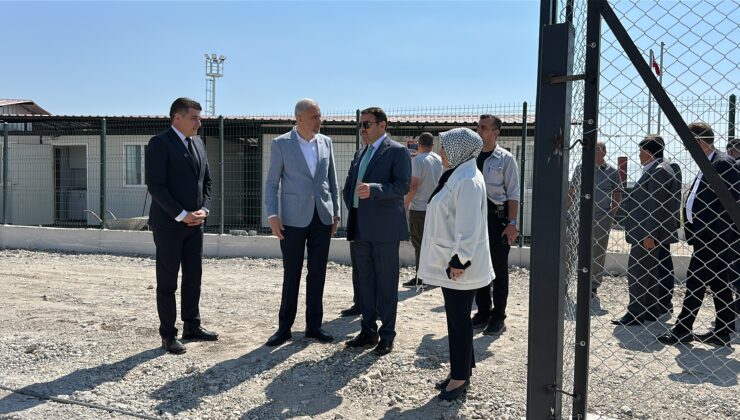 Sahipsiz hayvanlar yıl sonuna kadar toplanacak