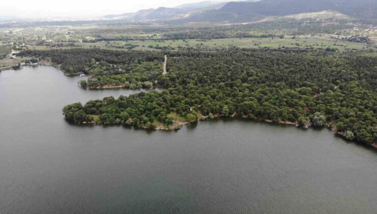 Tabiat parklarında mangal yapmak yasaklandı
