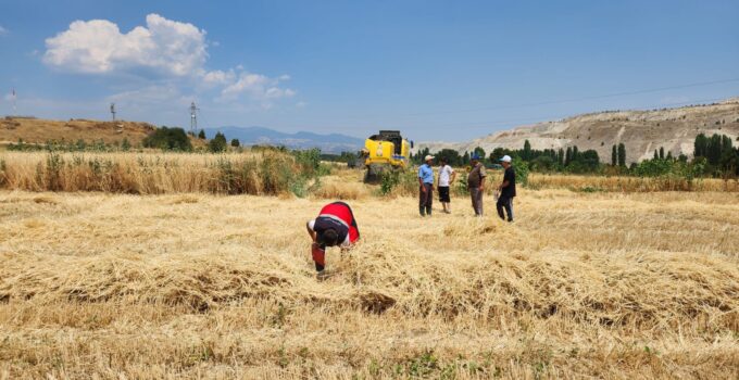Tarım ekiplerinden hasat yangınlarına karşı denetim