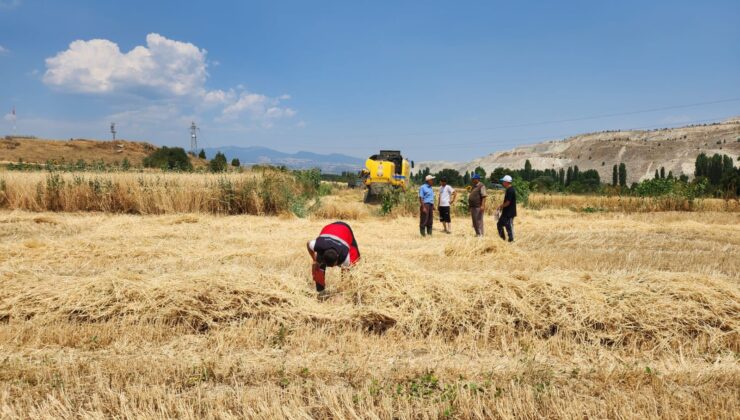 Tarım ekiplerinden hasat yangınlarına karşı denetim