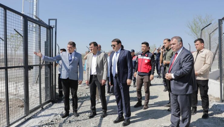 Can dostların yeni yaşam alanında inceleme