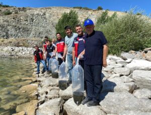 8 farklı gölete binlerce yavru sazan balığı bırakıldı