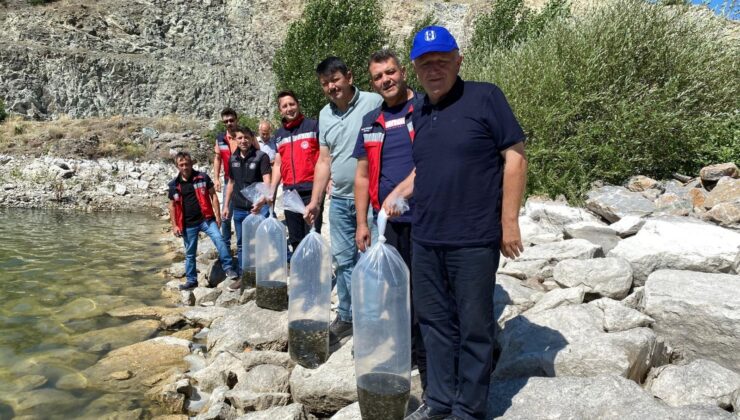 8 farklı gölete binlerce yavru sazan balığı bırakıldı