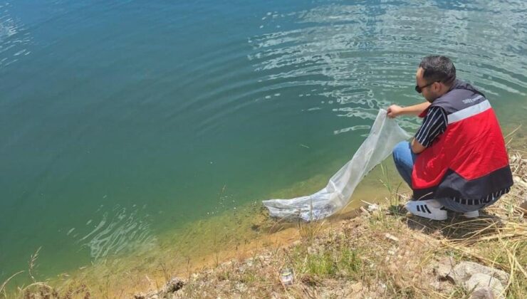 3 ilçede 200 bin sazan doğal yaşamla buluştu