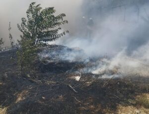 Trafo yakınında çıkan yangın paniğe sebep oldu
