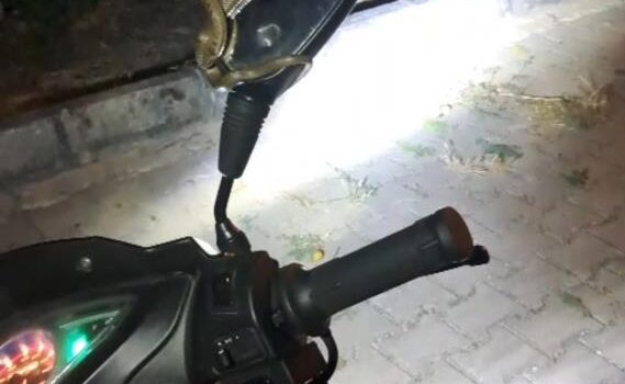 Yılan korkusuyla motosiklete yaklaşamadı