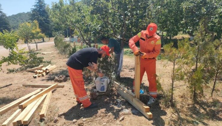 Hükümlüler ormanlara katkı sağlayacak