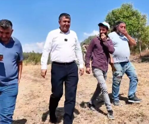 Başkan Akel yılın ilk hasat heyecanına ortak oldu