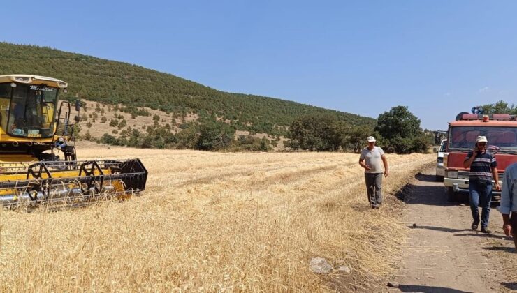 Biçerdöverlerin geçici kısıtlamaya uyup uymadığı kontrol ediliyor