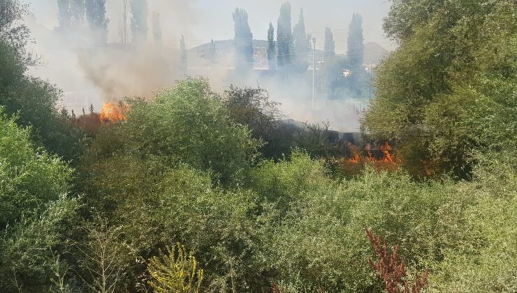 Korkutan orman yangını kısa sürede söndürüldü