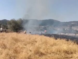Otluk alanda çıkan yangın büyümeden kontrol altına alındı