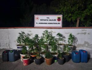 Jandarmadan uyuşturucu operasyonu: 2 gözaltı