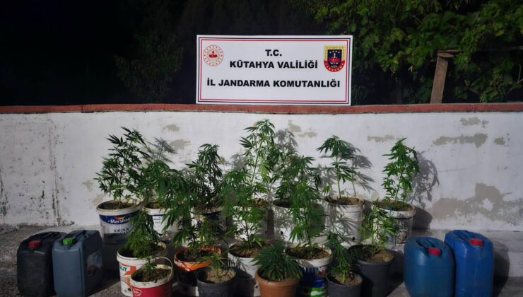 Jandarmadan uyuşturucu operasyonu: 2 gözaltı