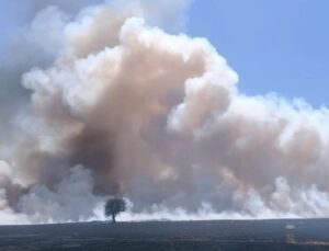Kütahya’da 3 farklı noktada yangın! Ekiplerin mücadelesi sürüyor
