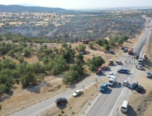 Orman yangını kontrol altına alındı