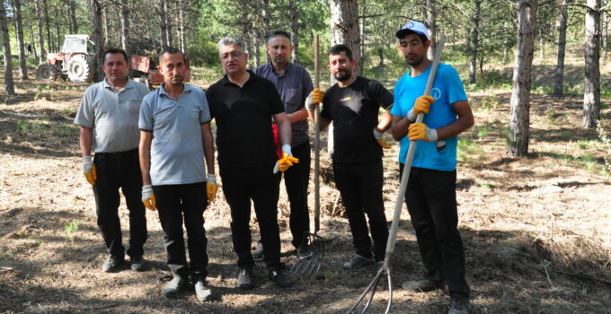Rektör Kızıltoprak, ağaçlık alandaki temizlik çalışmalarına katıldı