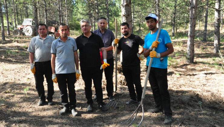 Rektör Kızıltoprak, ağaçlık alandaki temizlik çalışmalarına katıldı