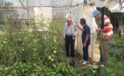 Seralarda bitki hastalık ve zararlı kontrolleri yapıldı