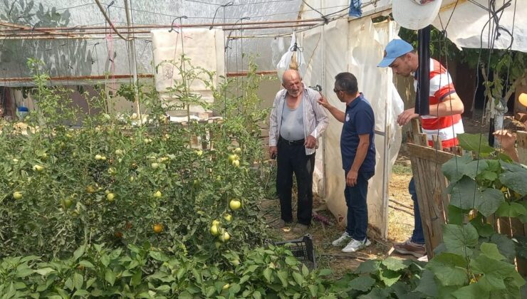 Seralarda bitki hastalık ve zararlı kontrolleri yapıldı