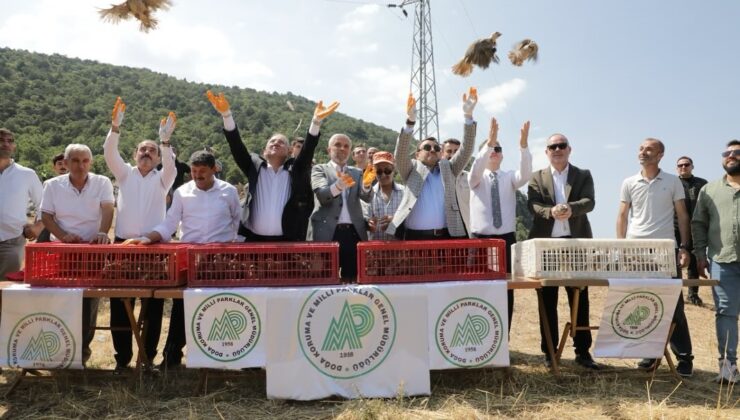 300 keklik daha doğaya salındı